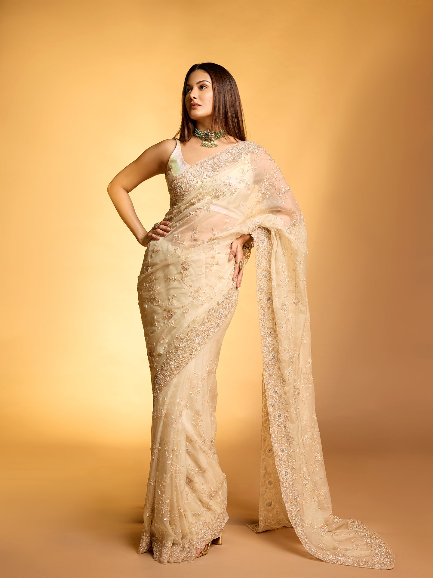 Beige Organza Saree with Dabka, Resham, and Sequin Work